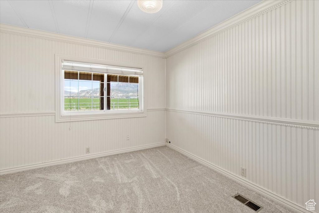 Unfurnished room with ornamental molding and carpet