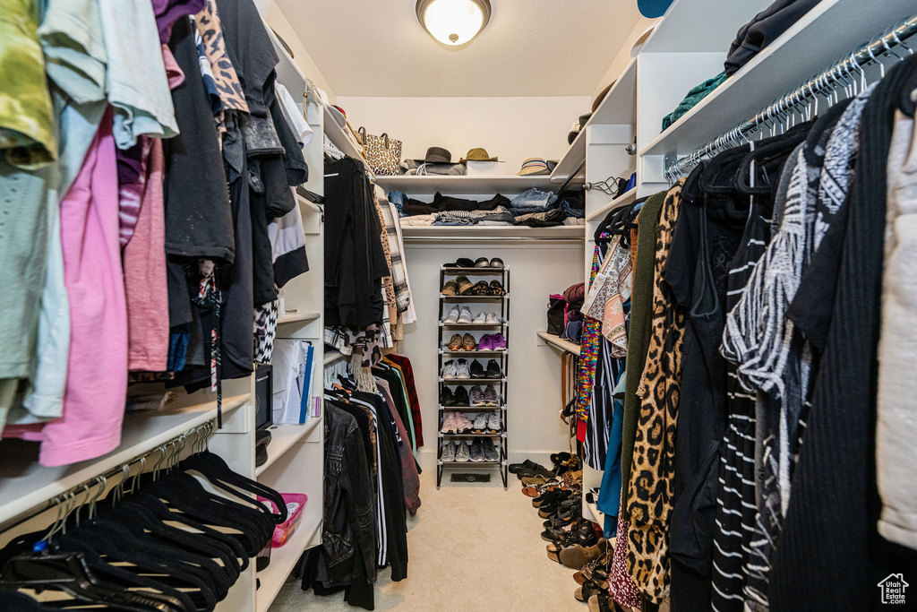 Spacious closet featuring carpet