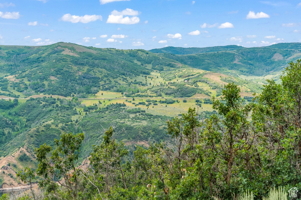 View of mountain background