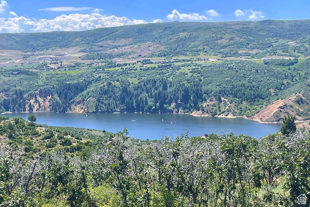 Water view with a mountainous background and a heavily wooded area