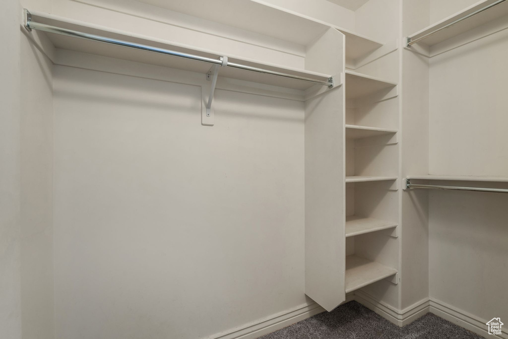 Spacious closet featuring carpet