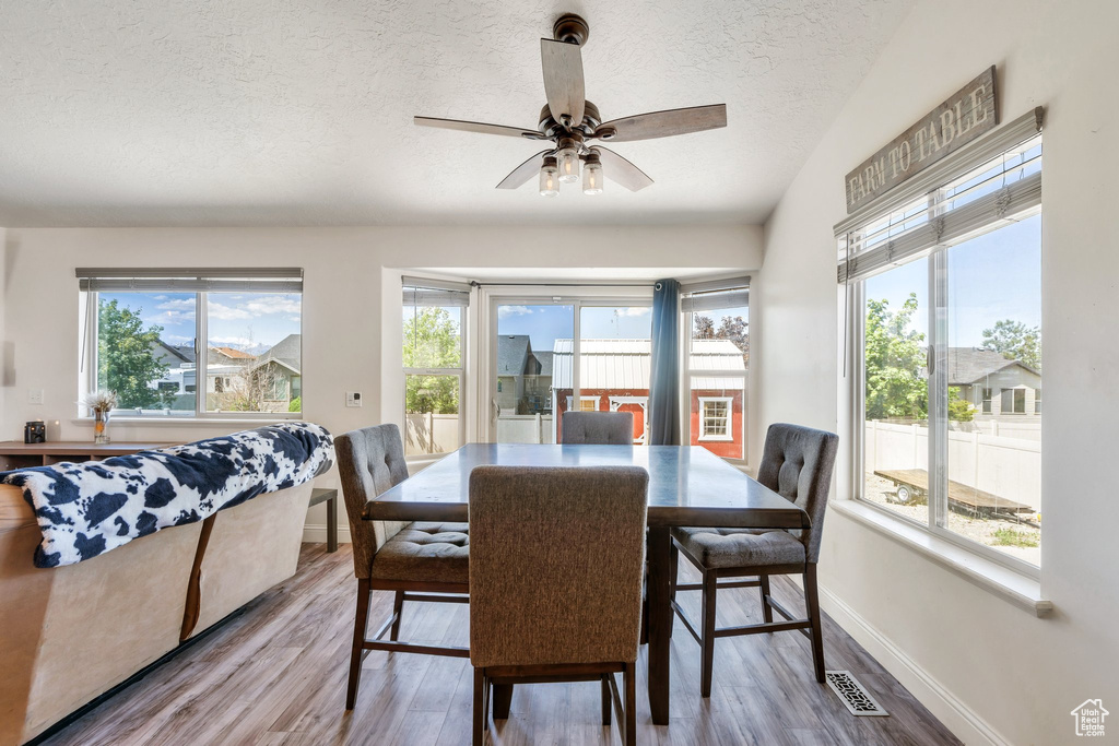 Dining space featuring plenty of natural light, a textured ceiling, wood finished floors, and baseboards