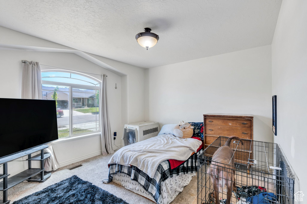 Carpeted bedroom with a textured ceiling and baseboards