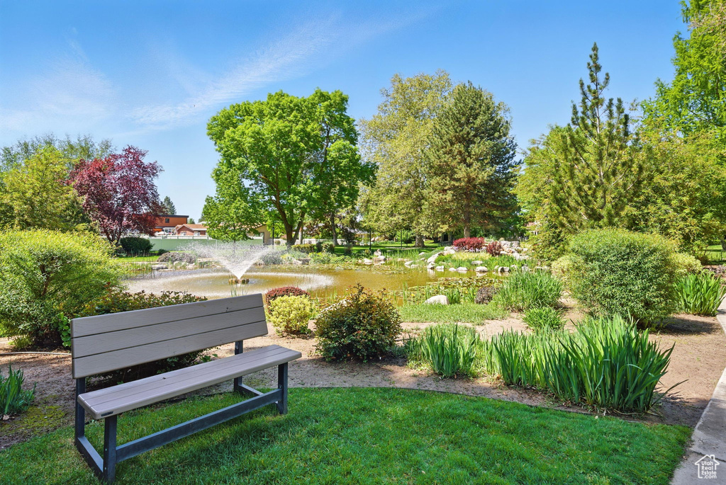 View of community with a water view and a lawn
