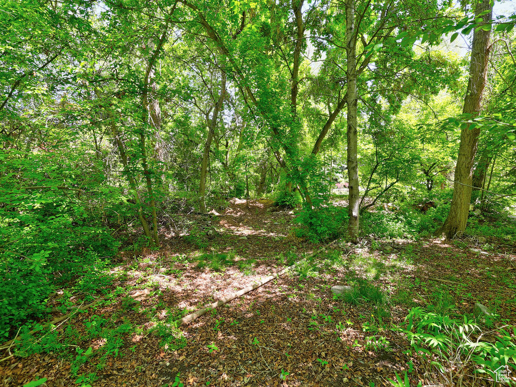 4150 N 444 W Provo, UT 84604