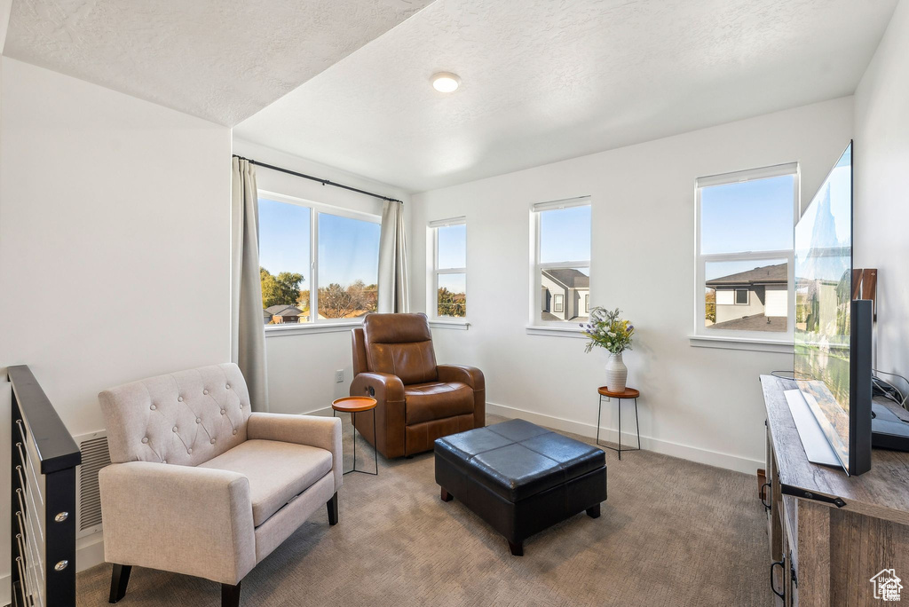 Sitting room with carpet flooring and baseboards