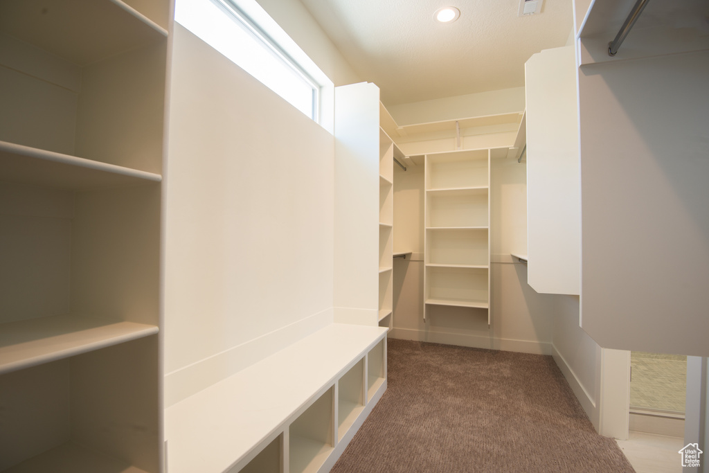 Walk in closet featuring carpet floors