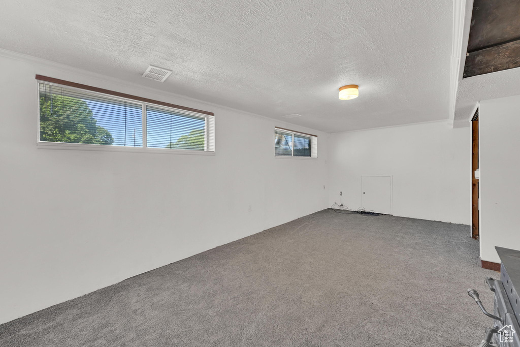 Below grade area with carpet floors and a textured ceiling