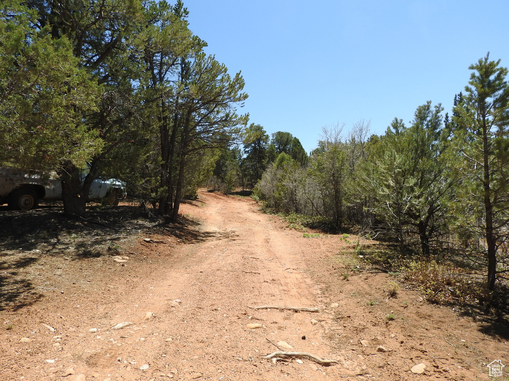 View of road with a wooded view