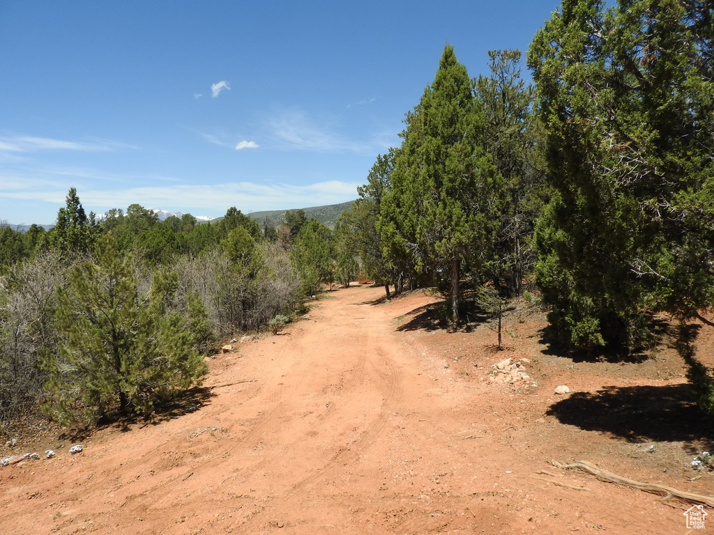 View of undeveloped land