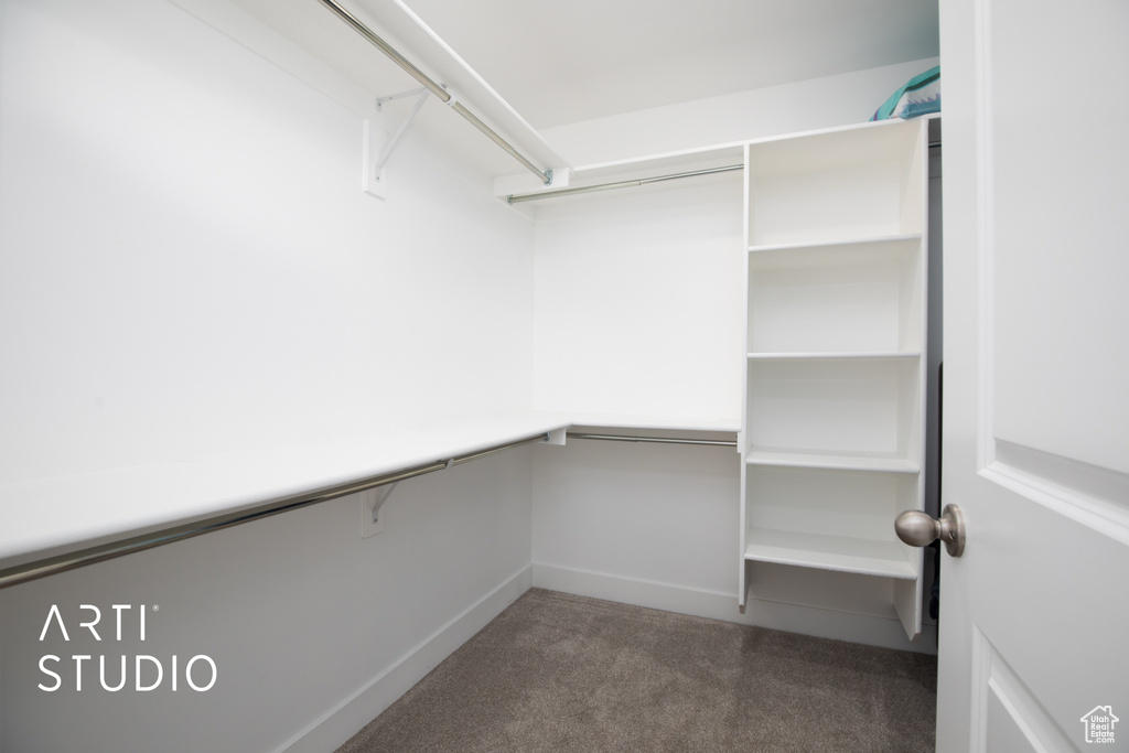 Spacious closet featuring carpet