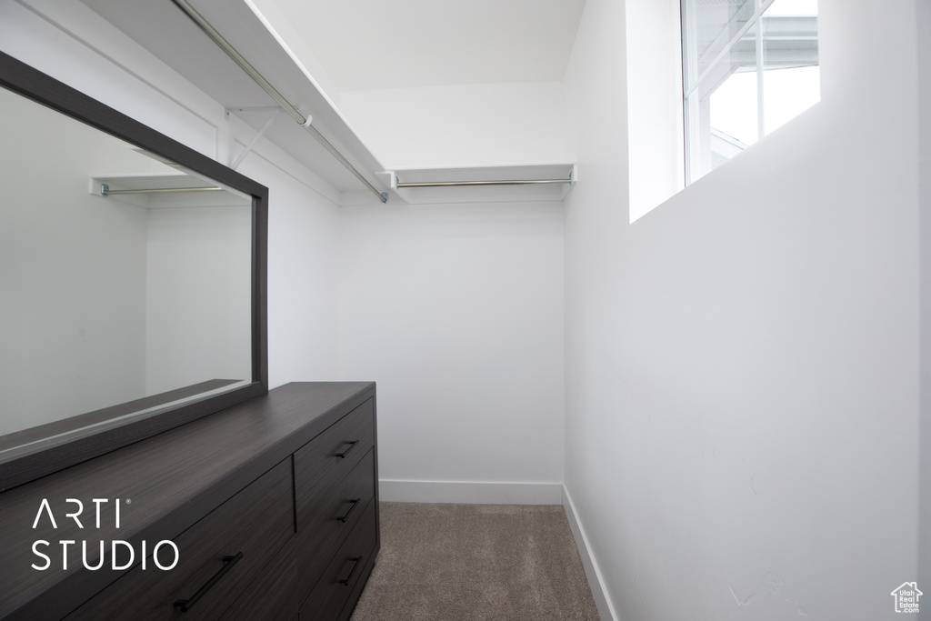 Spacious closet with carpet floors