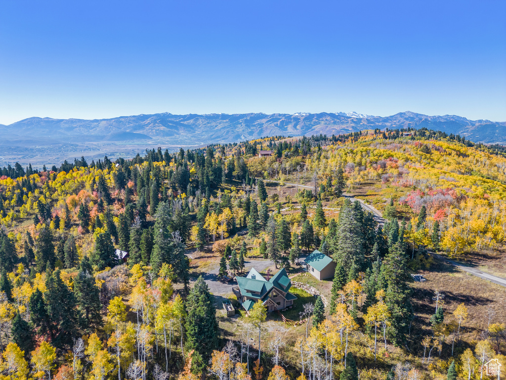 Aerial view with a mountain view and a forest view