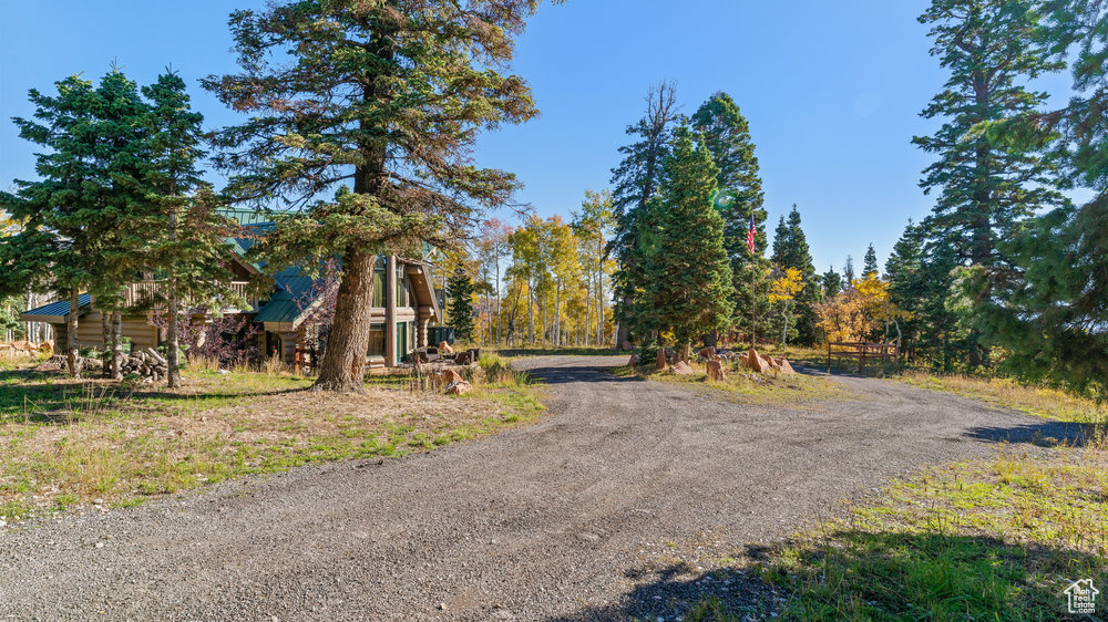View of street