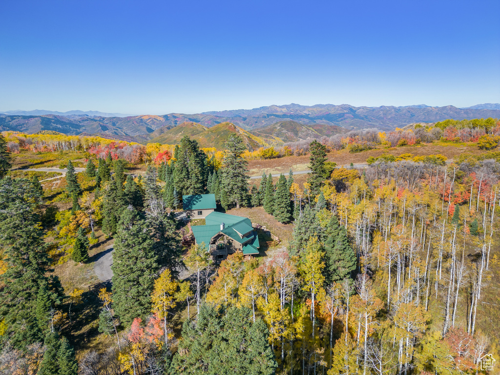 Aerial view with a mountain view and a forest view