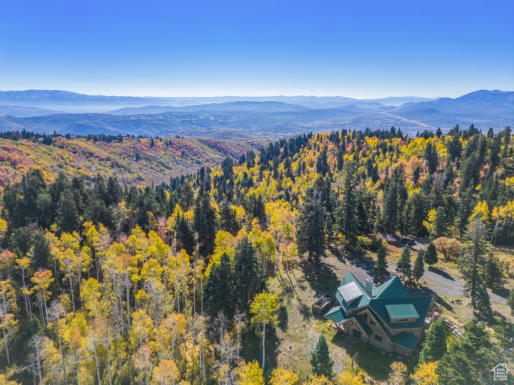 Aerial view with a forest view and a mountain view
