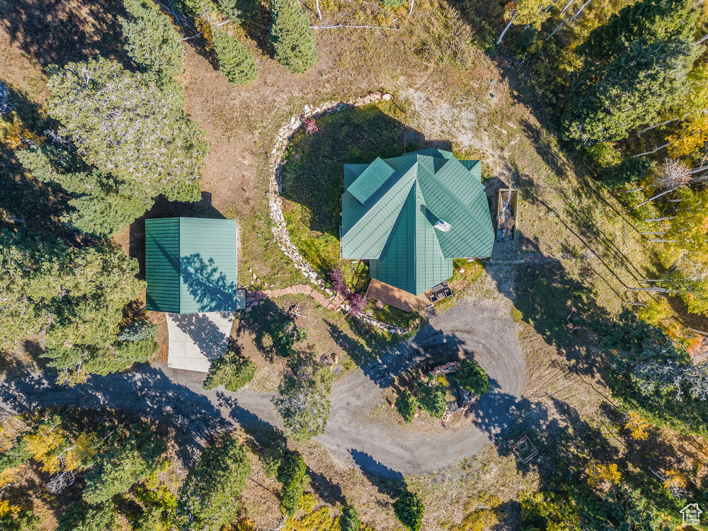 Bird\'s eye view