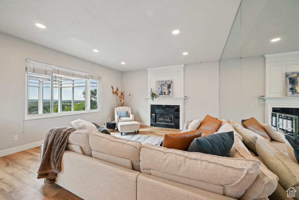 Living area featuring a glass covered fireplace, wood finished floors, recessed lighting, and baseboards