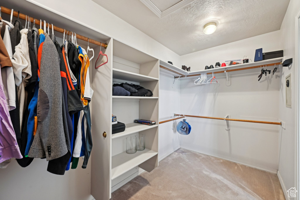 Walk in closet featuring carpet floors and attic access