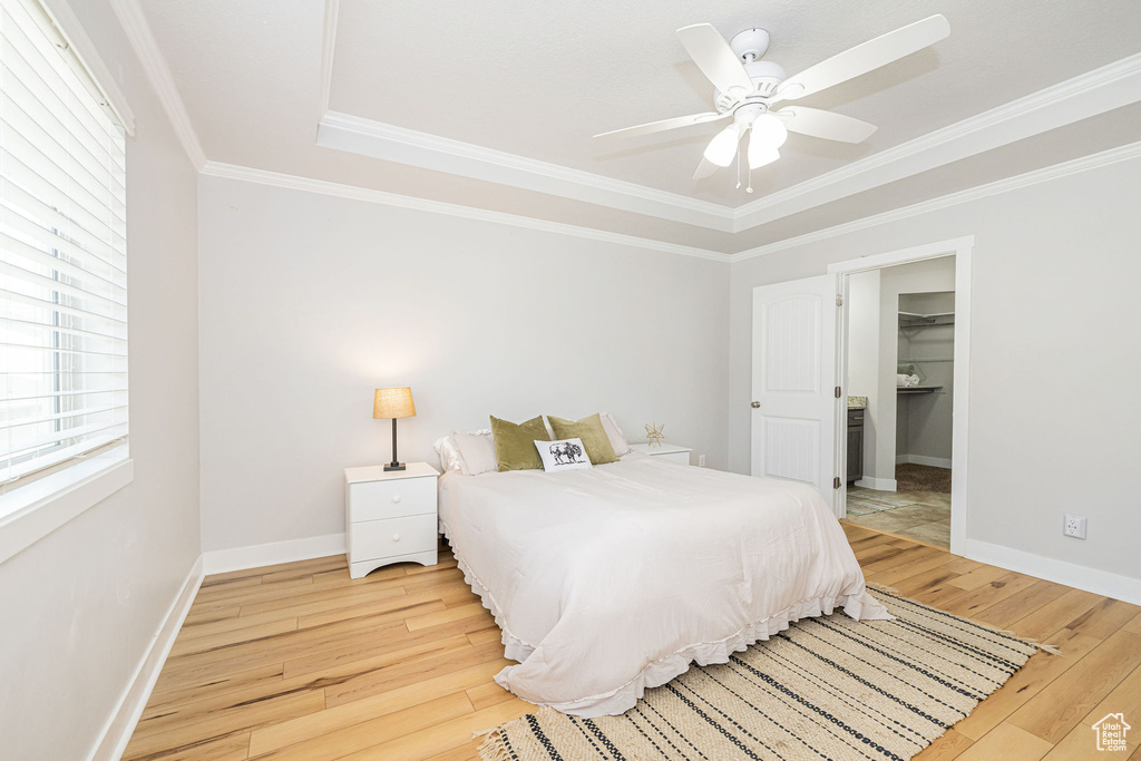 Bedroom with light wood-style floors, ornamental molding, baseboards, a ceiling fan, and a spacious closet