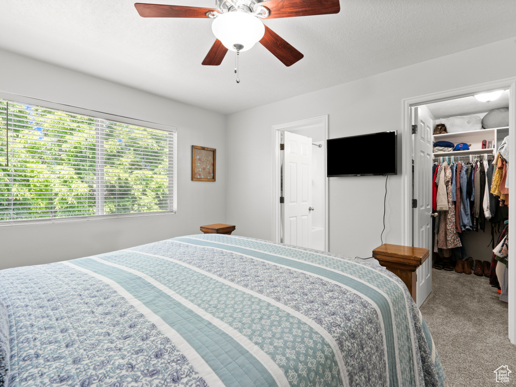 Carpeted bedroom featuring a spacious closet, a ceiling fan, and a closet