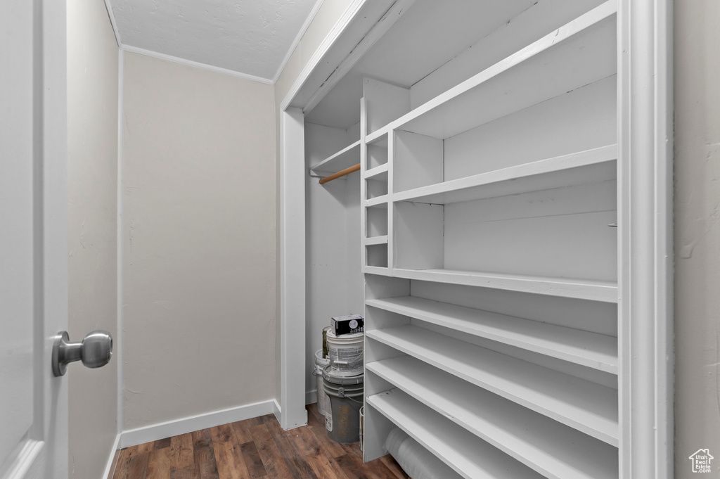 Spacious closet with dark wood-style flooring