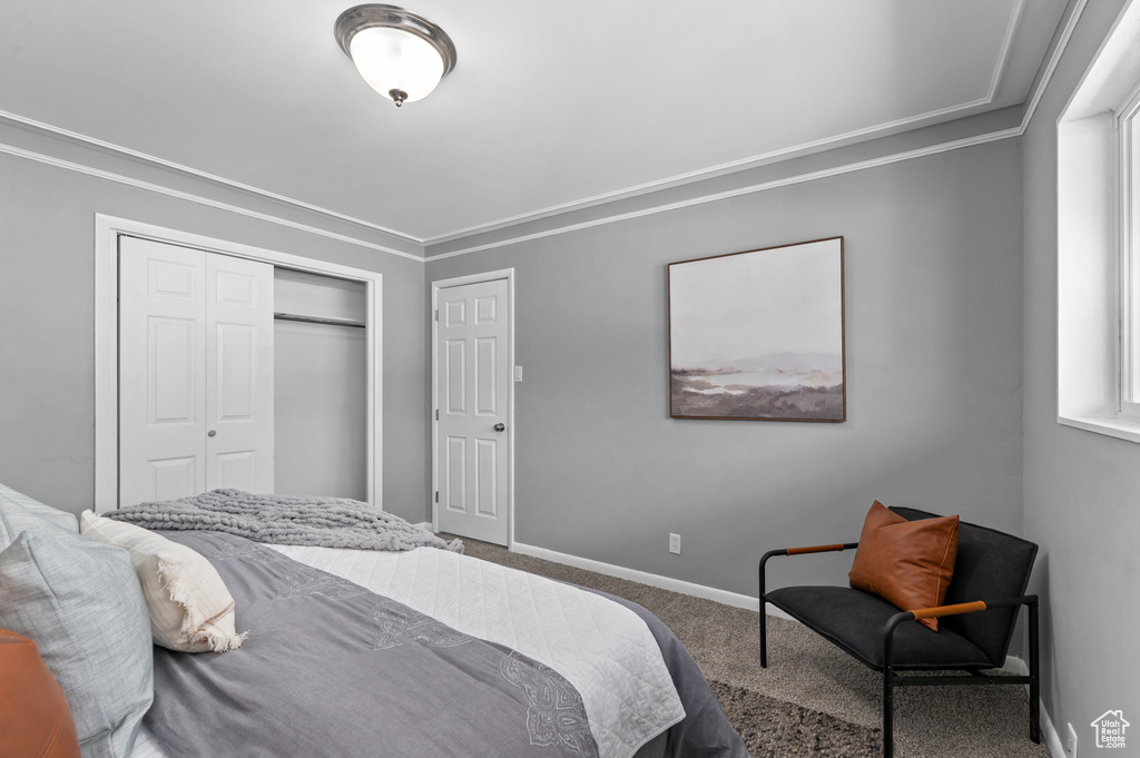 Carpeted bedroom featuring ornamental molding, a closet, and baseboards