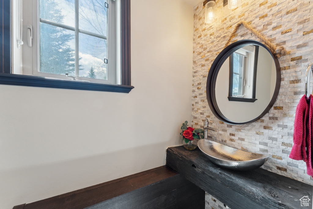 Bathroom with wood finished floors and a sink