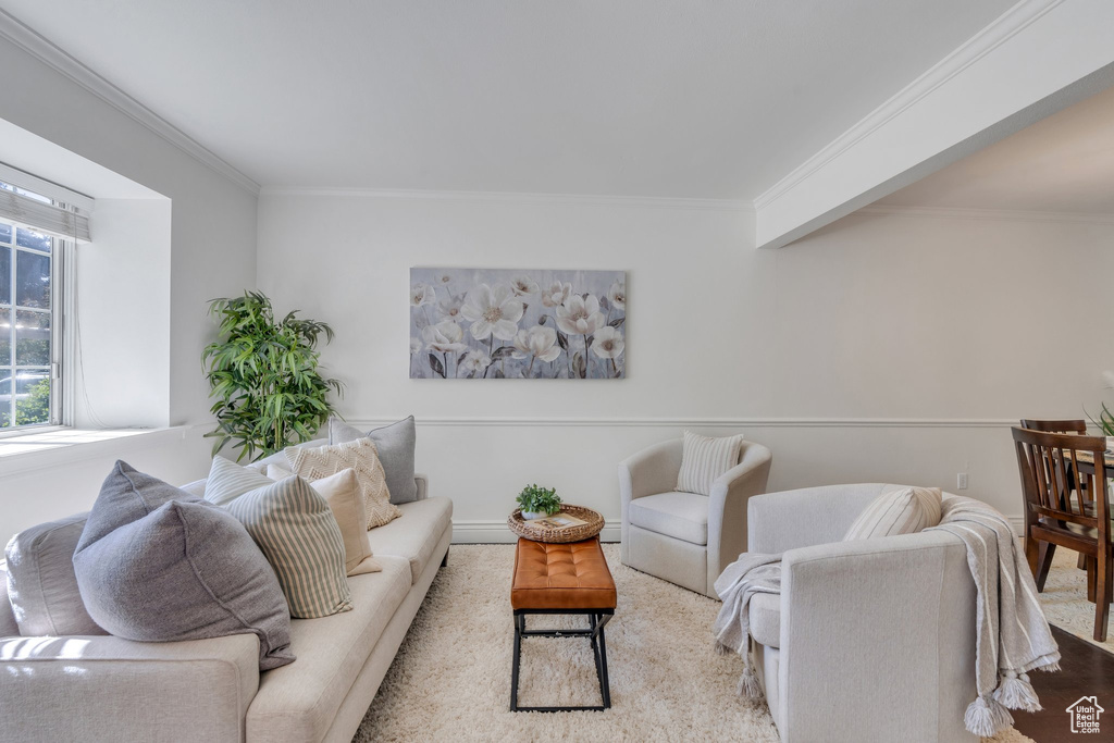 Living room featuring crown molding