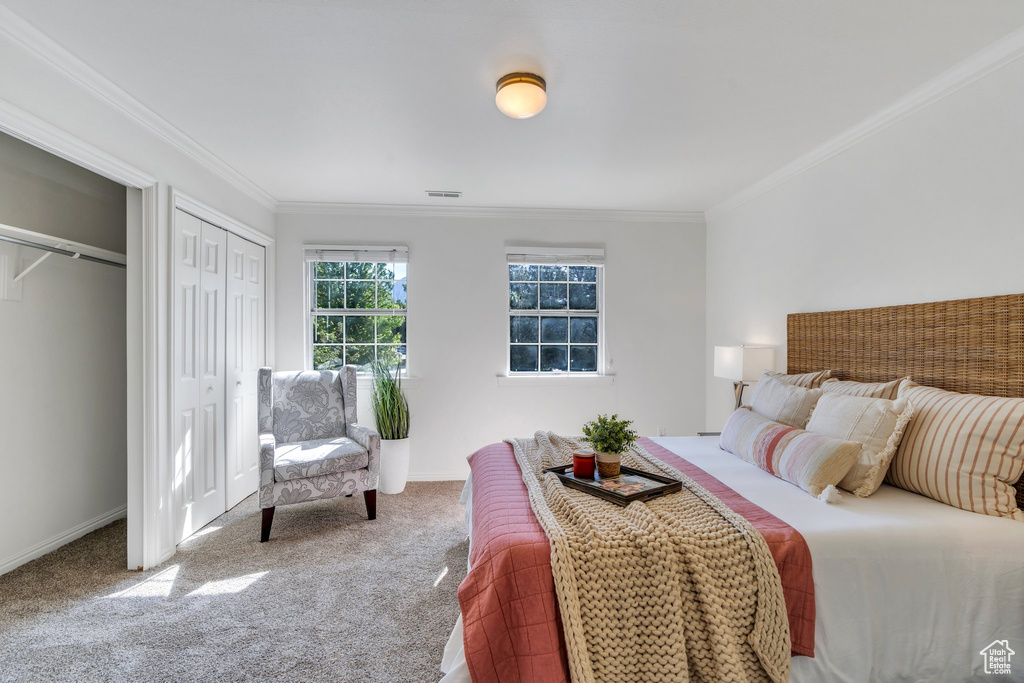 Carpeted bedroom with crown molding, two closets, and baseboards