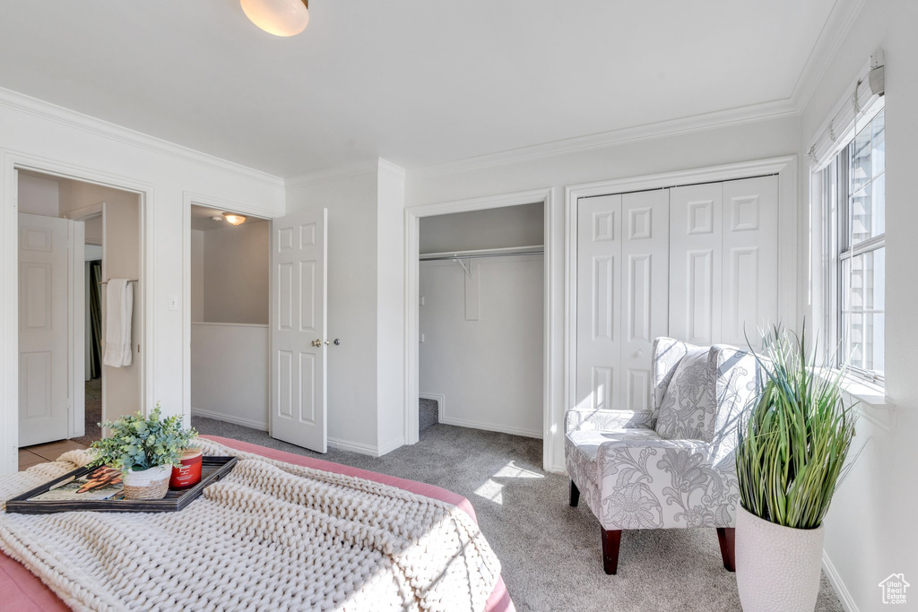 Carpeted bedroom with multiple closets, crown molding, and baseboards