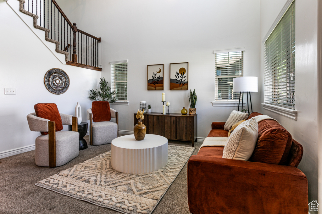 Carpeted living area featuring baseboards and a high ceiling