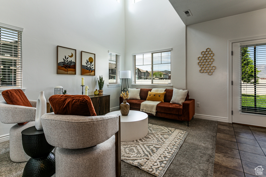 Living area with dark tile patterned flooring, baseboards, and a towering ceiling