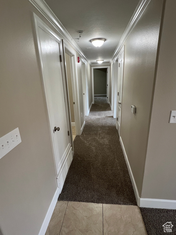 Hall with carpet floors and baseboards