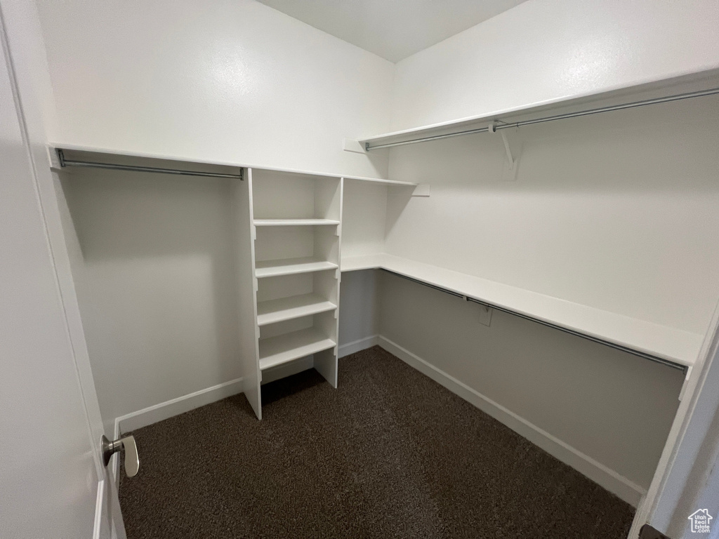 Spacious closet featuring dark carpet