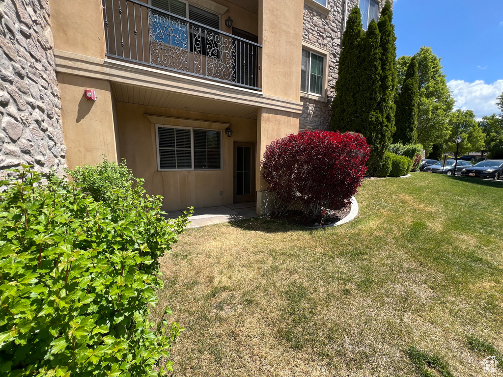View of grassy yard