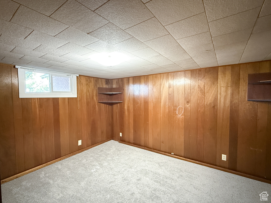 Basement featuring wood walls and carpet floors
