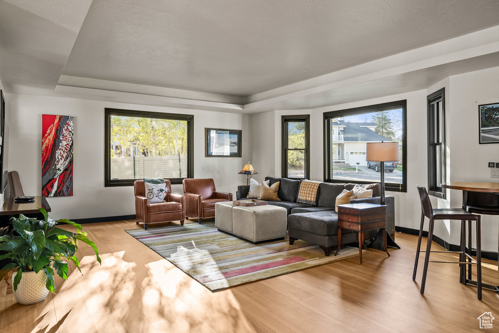 Living area with light wood-type flooring, a raised ceiling, healthy amount of natural light, and baseboards