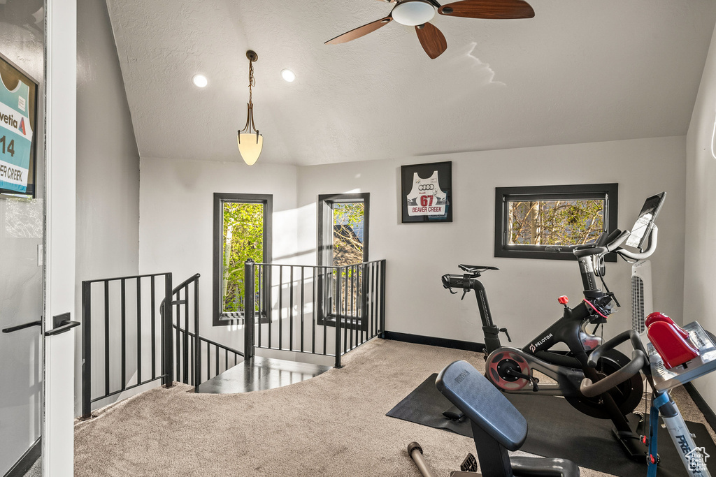 Exercise area featuring carpet, a ceiling fan, and baseboards