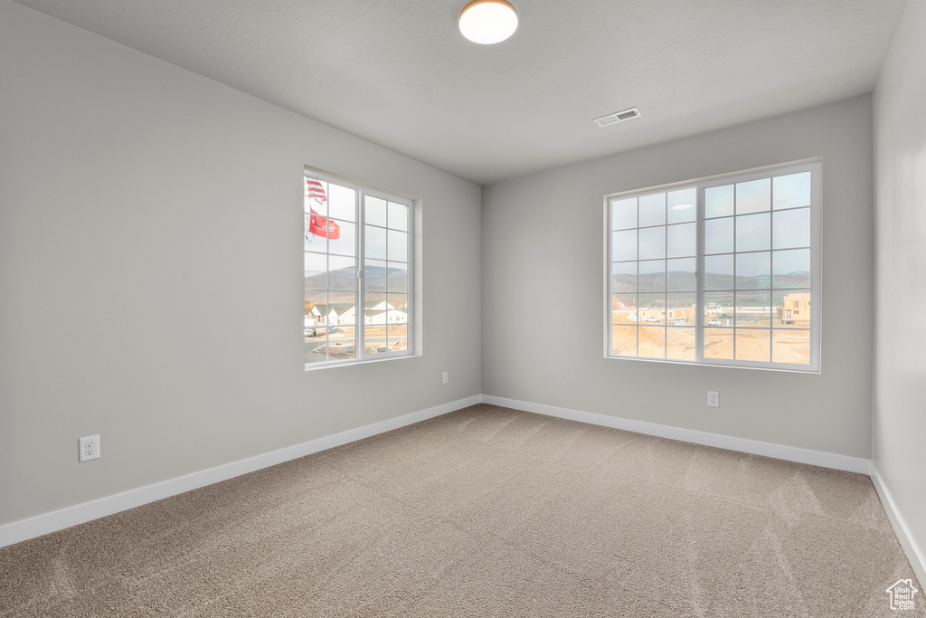 Empty room with plenty of natural light, carpet flooring, and baseboards
