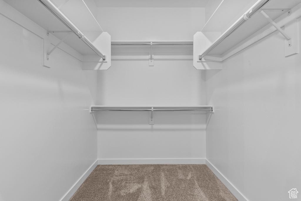 Spacious closet with carpet flooring
