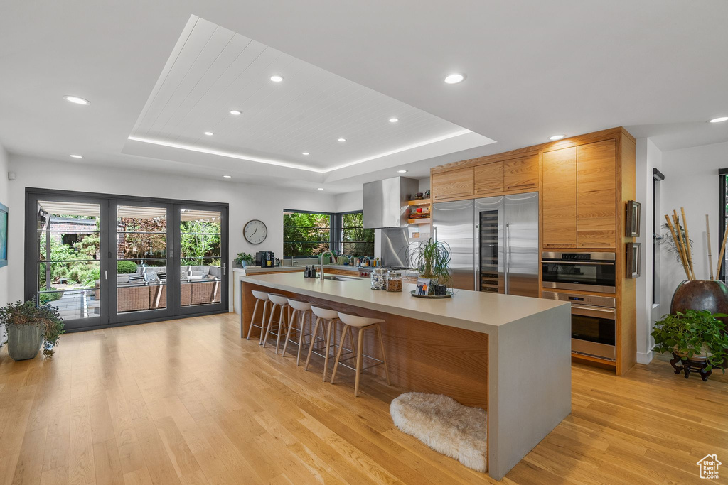 Kitchen featuring stainless steel appliances, a raised ceiling, a sink, light wood finished floors, and light countertops