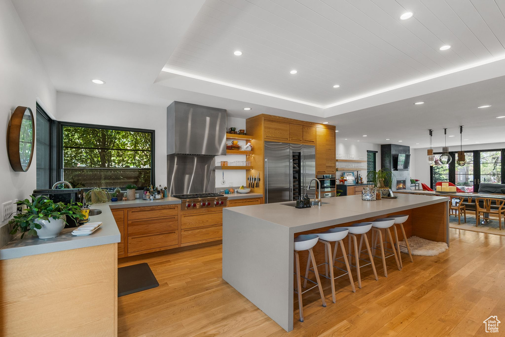 Kitchen with appliances with stainless steel finishes, open shelves, light wood finished floors, light countertops, and recessed lighting