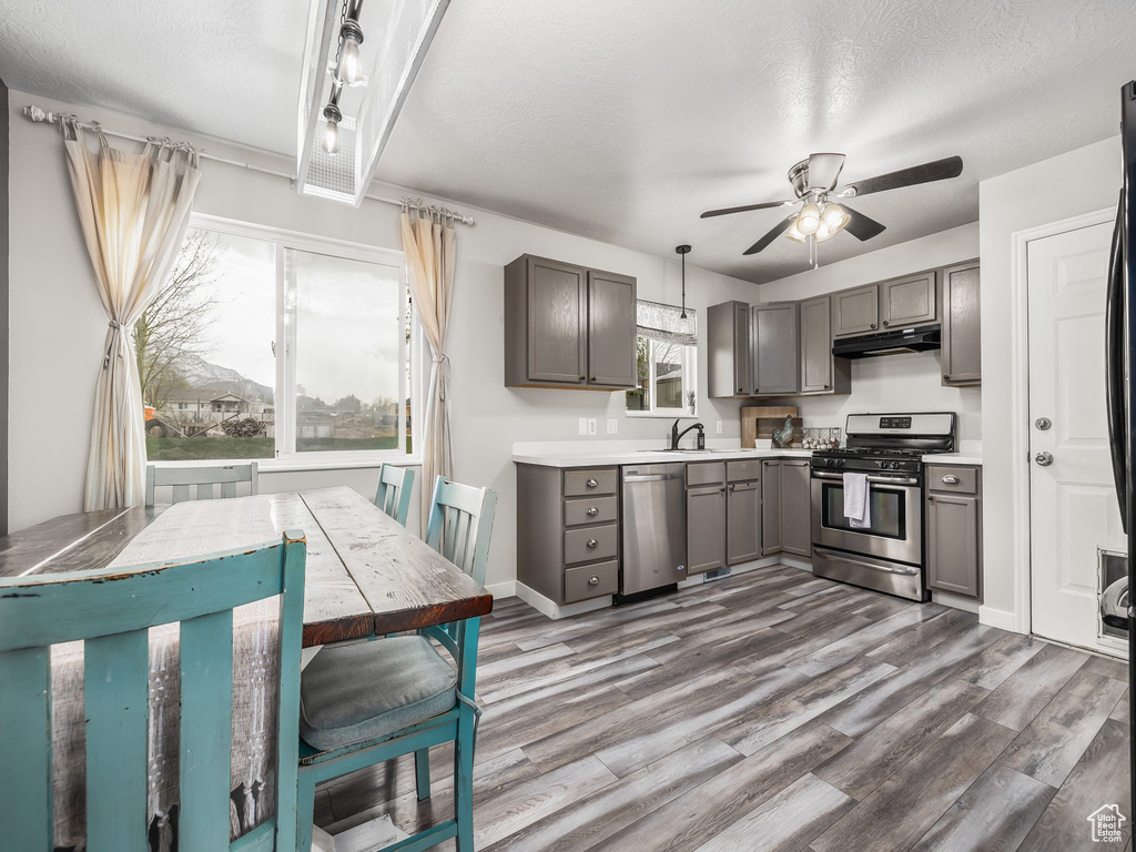 Kitchen with stainless steel appliances, under cabinet range hood, gray cabinets, a ceiling fan, and dark wood-style flooring