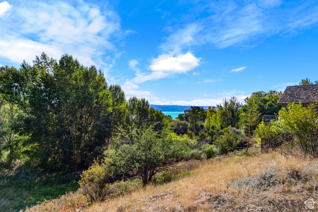 View of undeveloped land featuring a large body of water