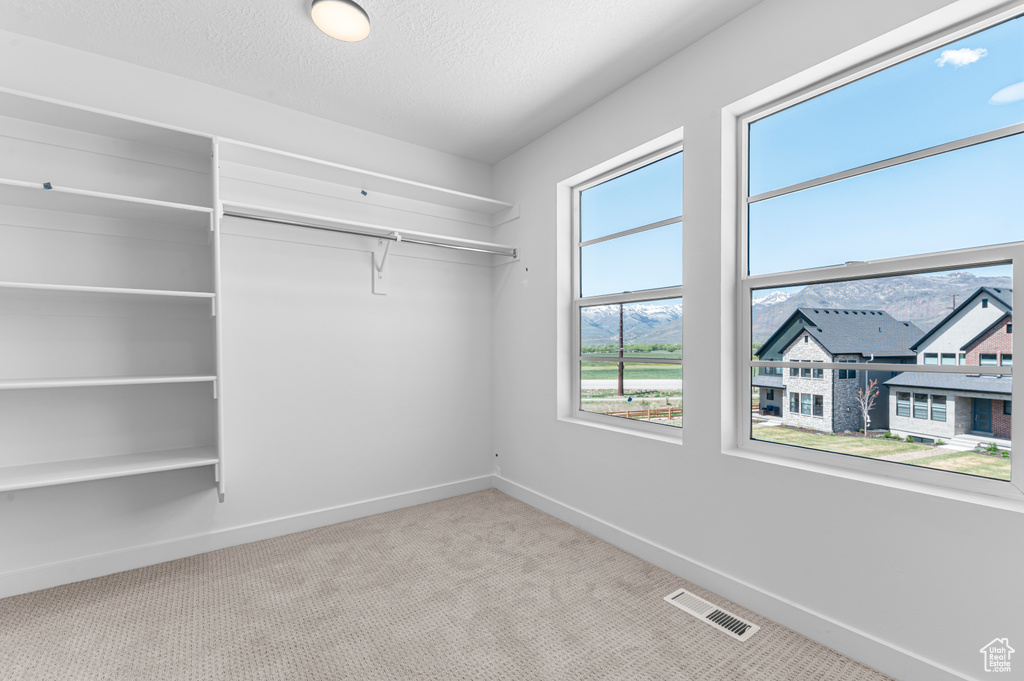 Walk in closet with carpet