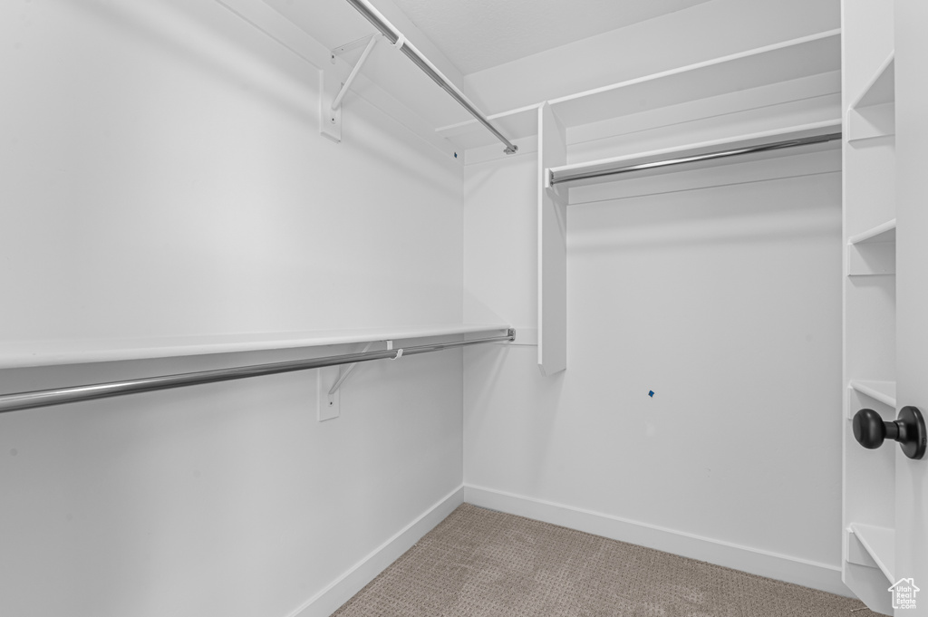 Spacious closet with carpet flooring