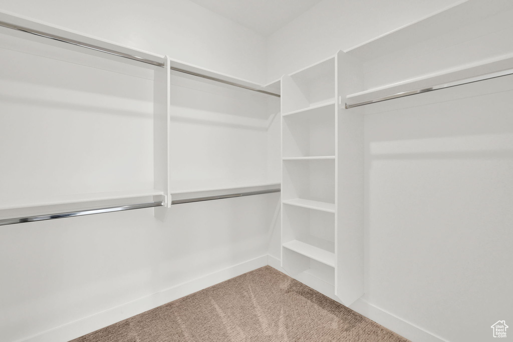 Walk in closet featuring carpet