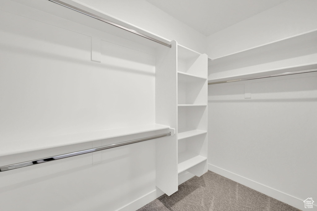 Spacious closet with carpet flooring