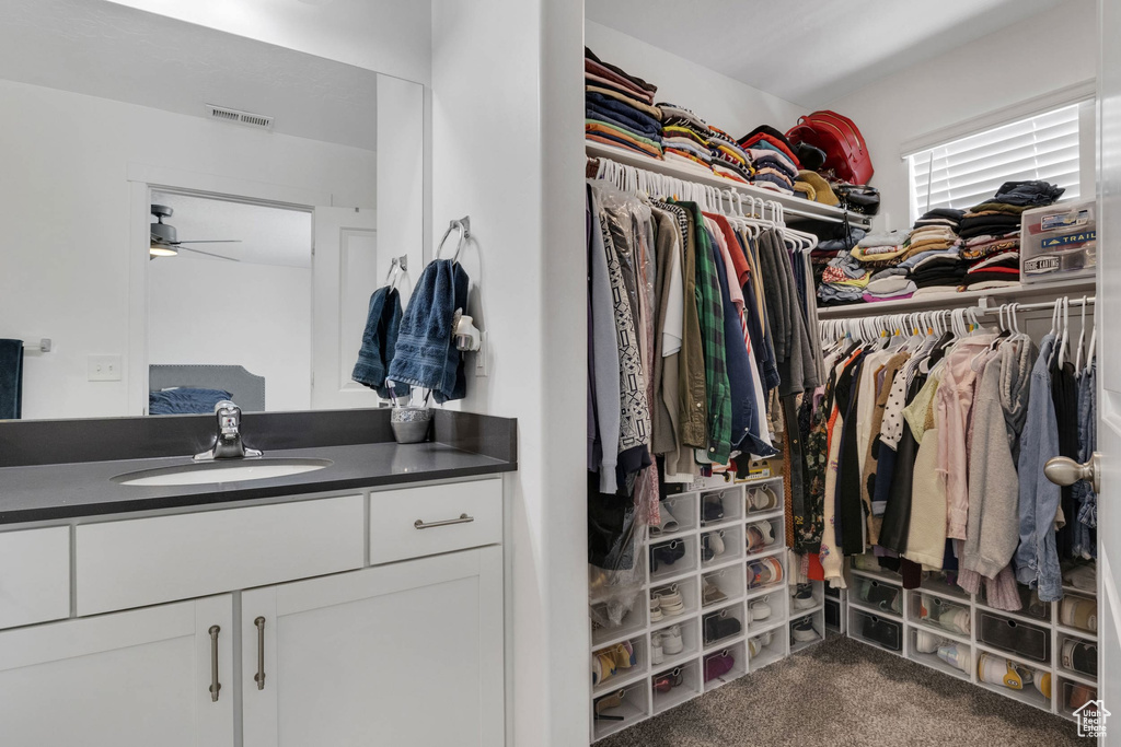 Walk in closet with a sink, a ceiling fan, and carpet floors
